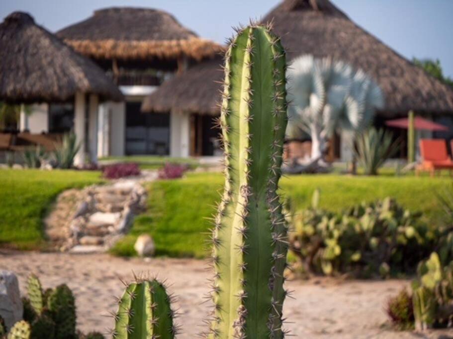 Villa De Las Rocas Puerto Escondido  Exteriér fotografie